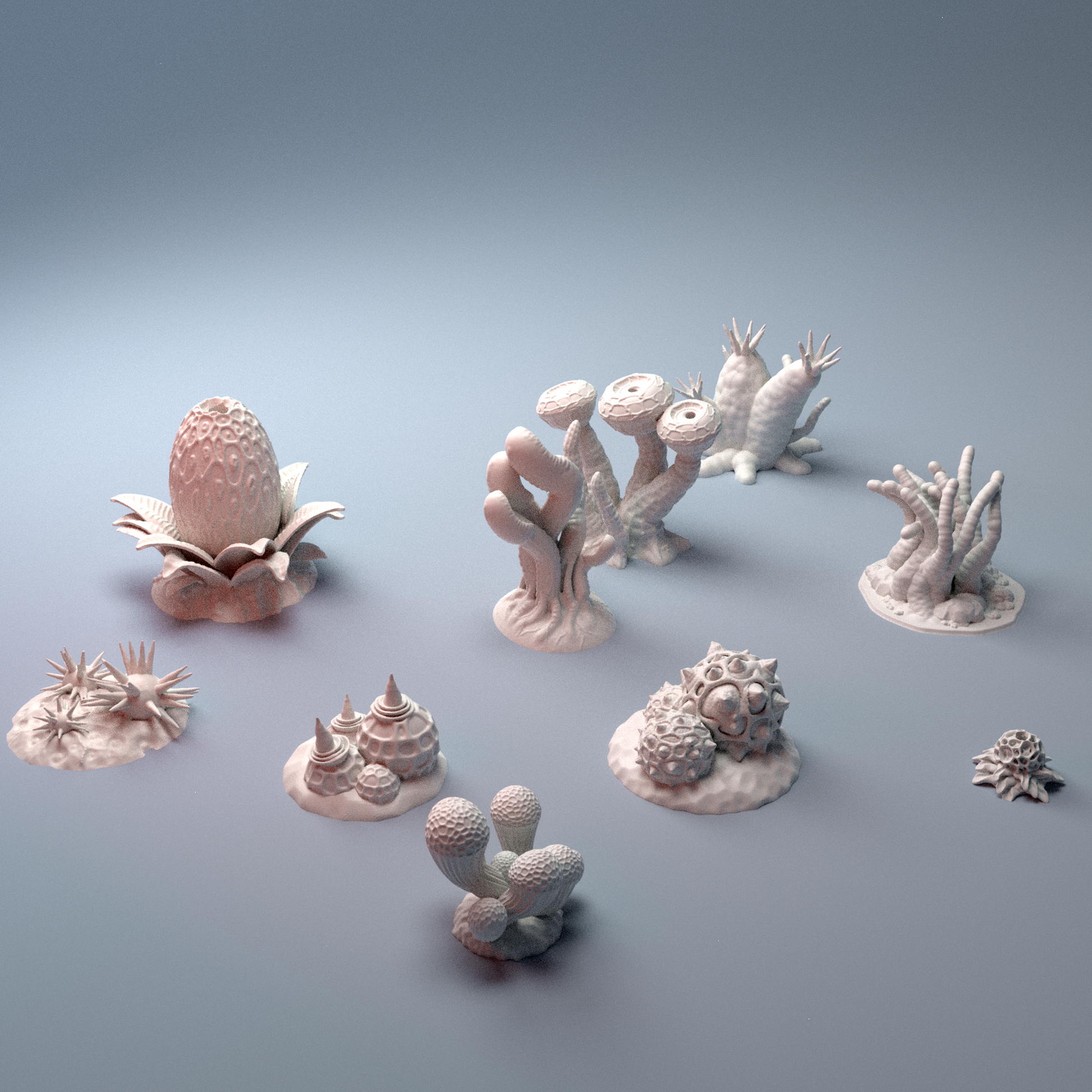Alien Plants B